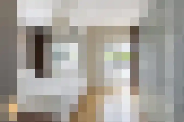 dr. Schaepmanstraat 8 D Vlaardingen thumbnail 4