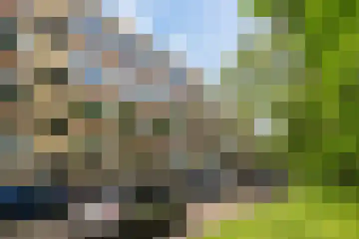 dr. Schaepmanstraat 8 D Vlaardingen thumbnail 5