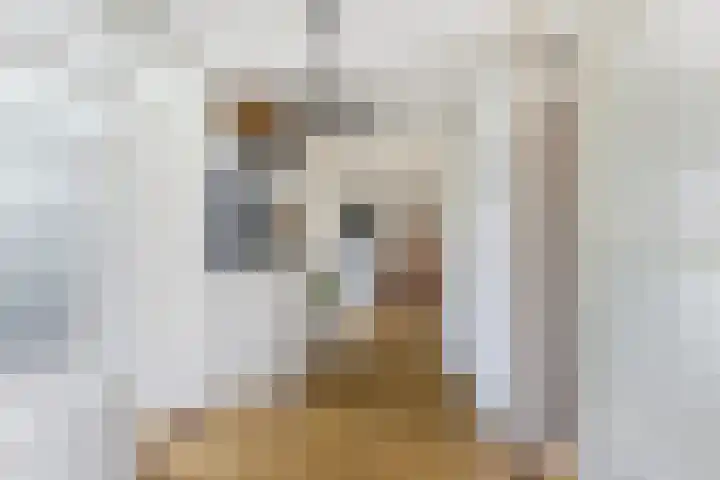 dr. Schaepmanstraat 8 D Vlaardingen thumbnail 6