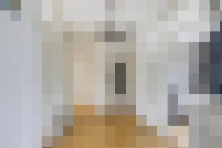 dr. Schaepmanstraat 8 D Vlaardingen thumbnail 7