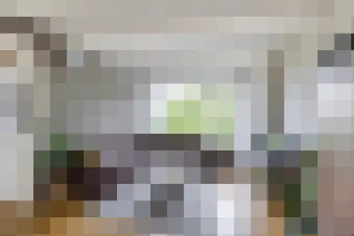dr. Schaepmanstraat 8 D Vlaardingen thumbnail 9