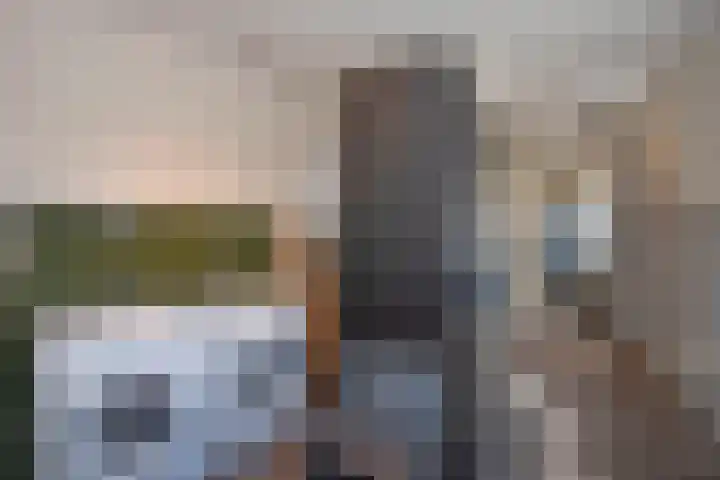 Dr. Schaepmanstraat 8 Hengelo thumbnail 13
