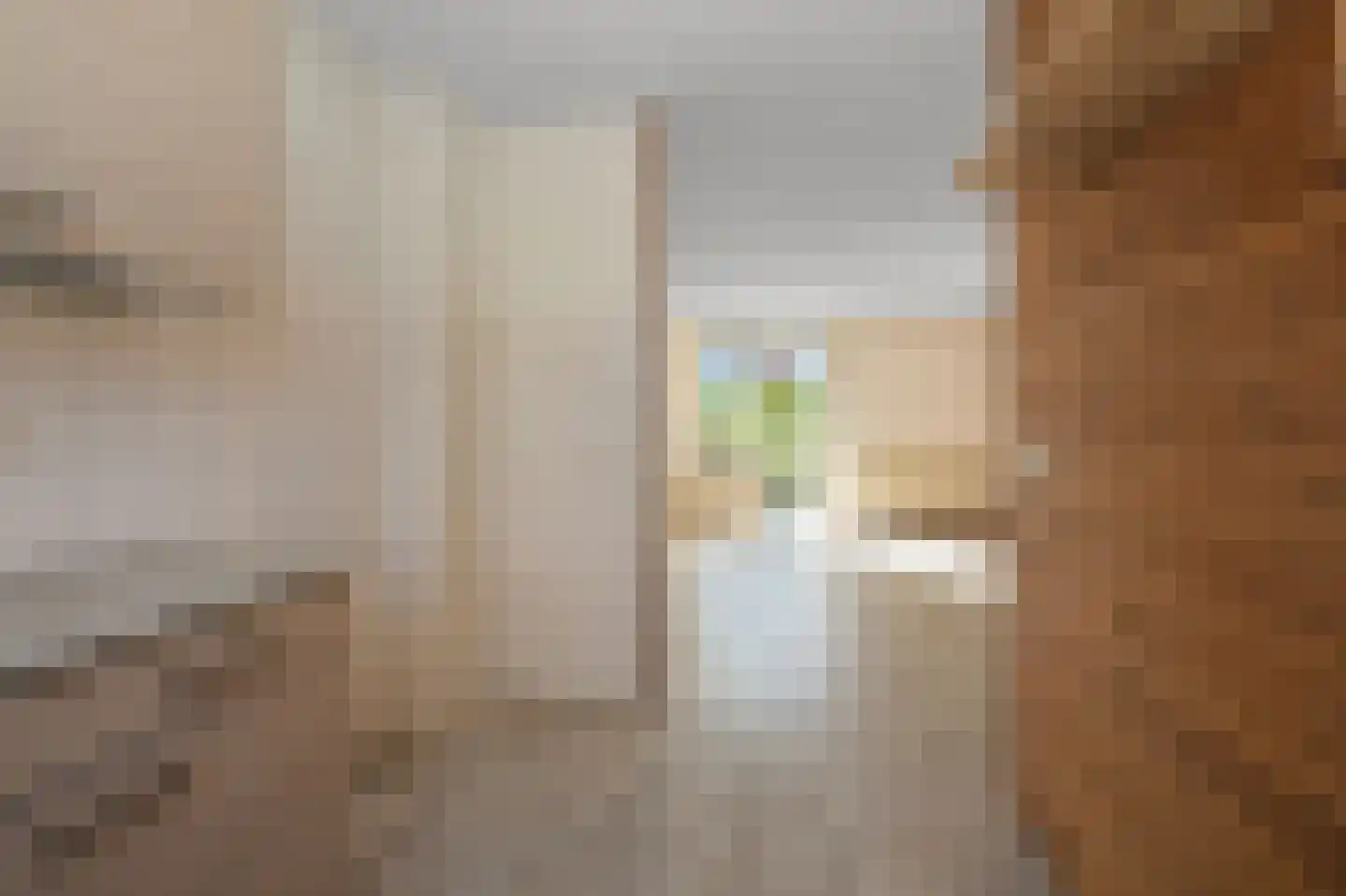 Dr. Schaepmanstraat 8 Zaandam thumbnail 10