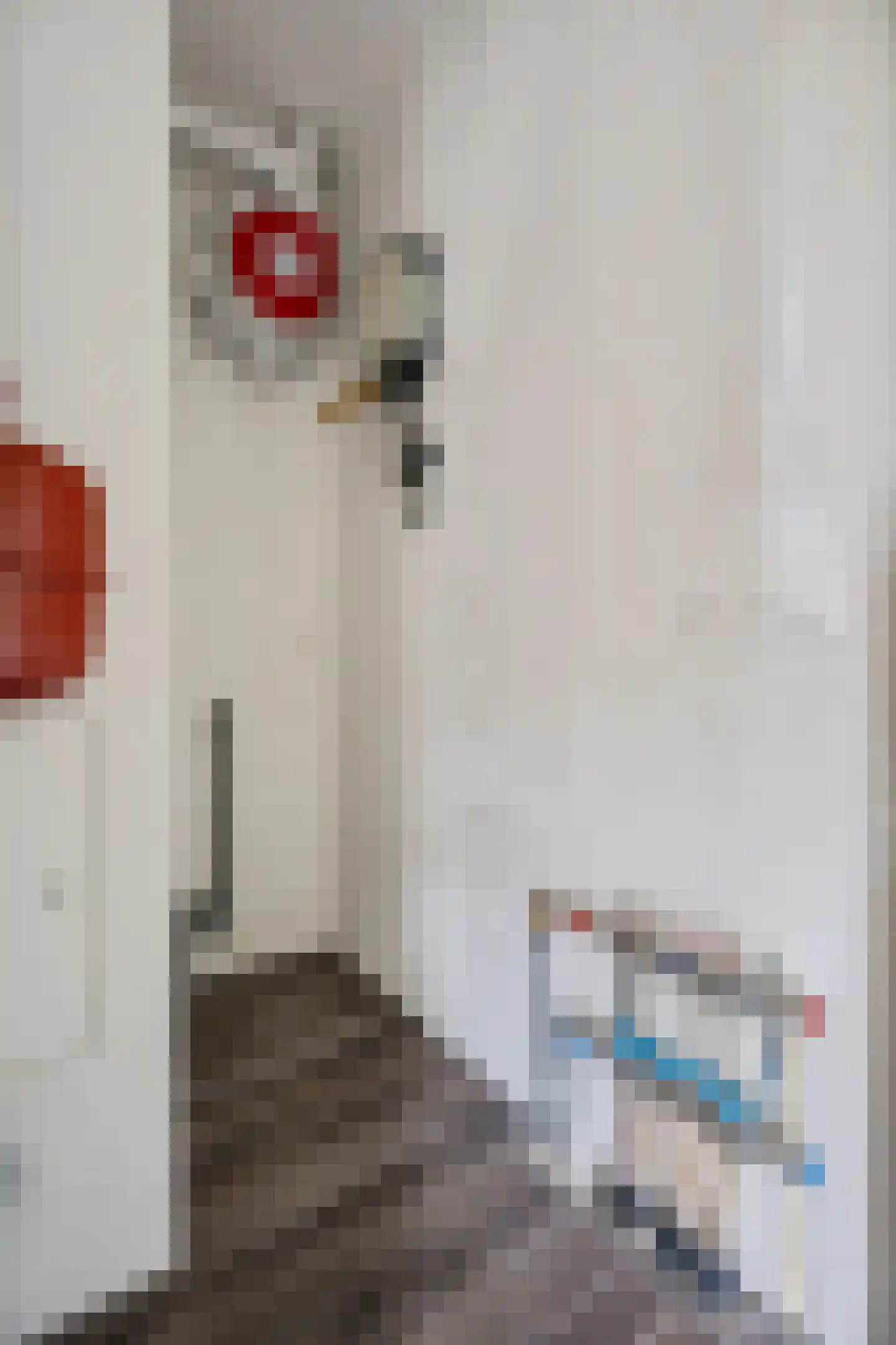 Dr. Schaepmanstraat 81 Assen thumbnail 25