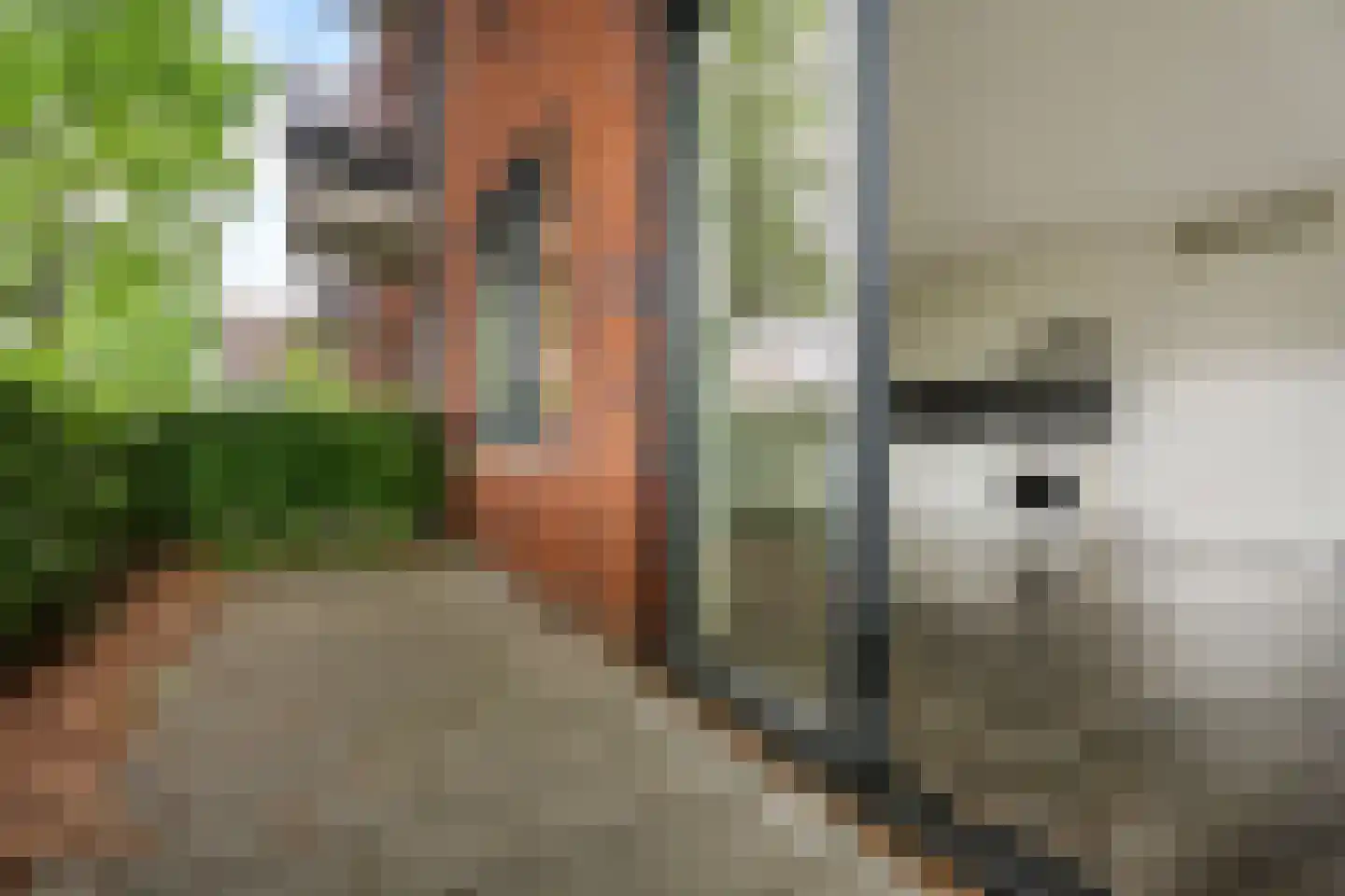 Dr. Schaepmanstraat 81 Assen thumbnail 29