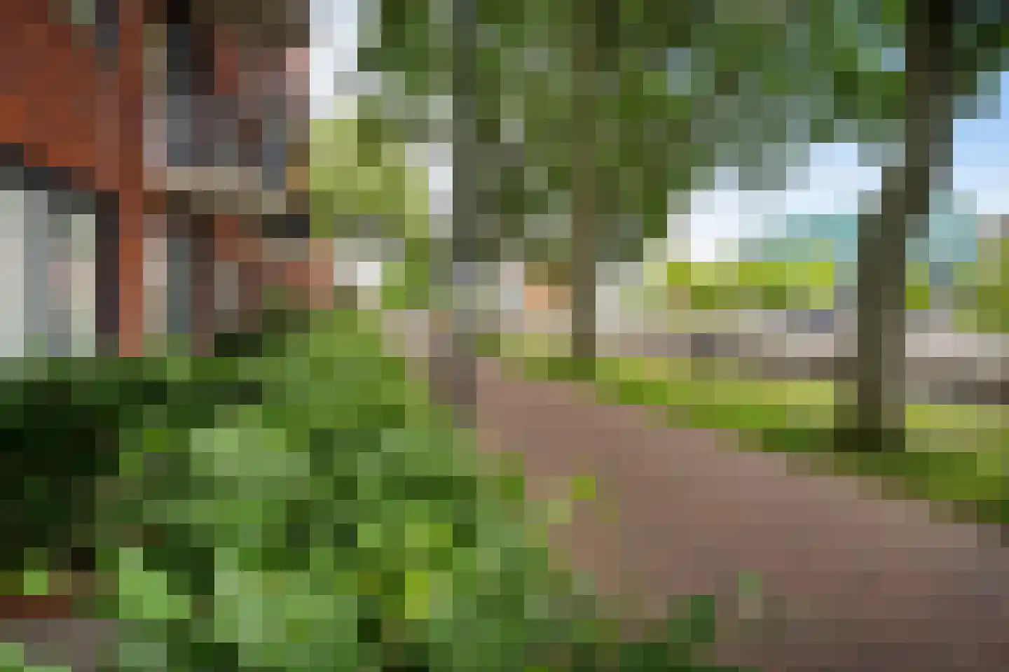 Dr. Schaepmanstraat 81 Assen thumbnail 32