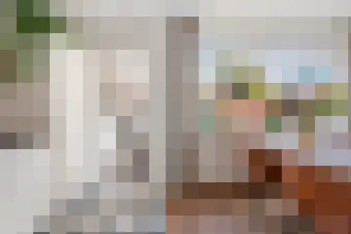 Dr. Schaepmanstraat 81 Haarlem thumbnail 11