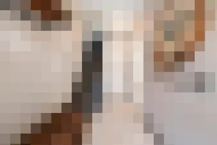 Dr. Schaepmanstraat 81 Haarlem thumbnail 17