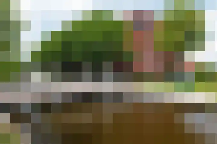 Dr. Schaepmanstraat 89 Assen thumbnail 26