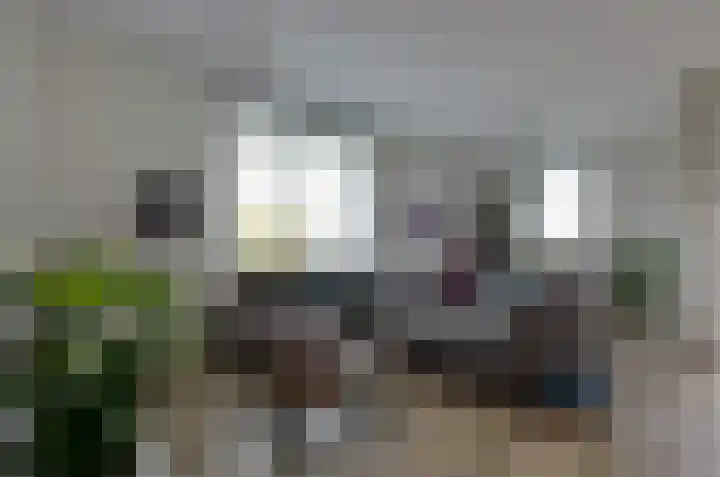 Dr. Schaepmanstraat 89 Assen thumbnail 4