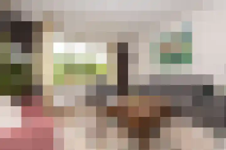 Dr. Schaepmanstraat 9 Berkel-Enschot thumbnail 12
