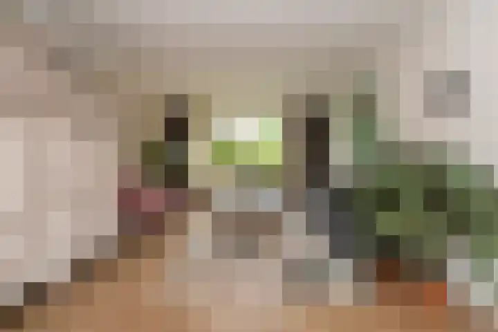 Dr. Schaepmanstraat 9 Berkel-Enschot thumbnail 15