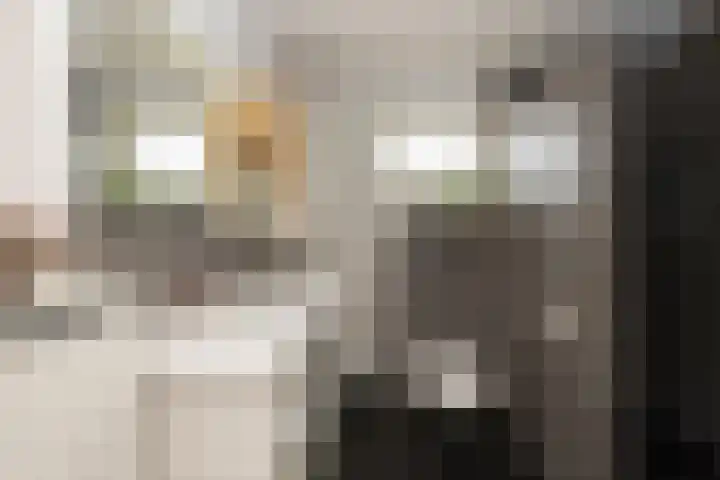 Dr. Schaepmanstraat 9 Berkel-Enschot thumbnail 4