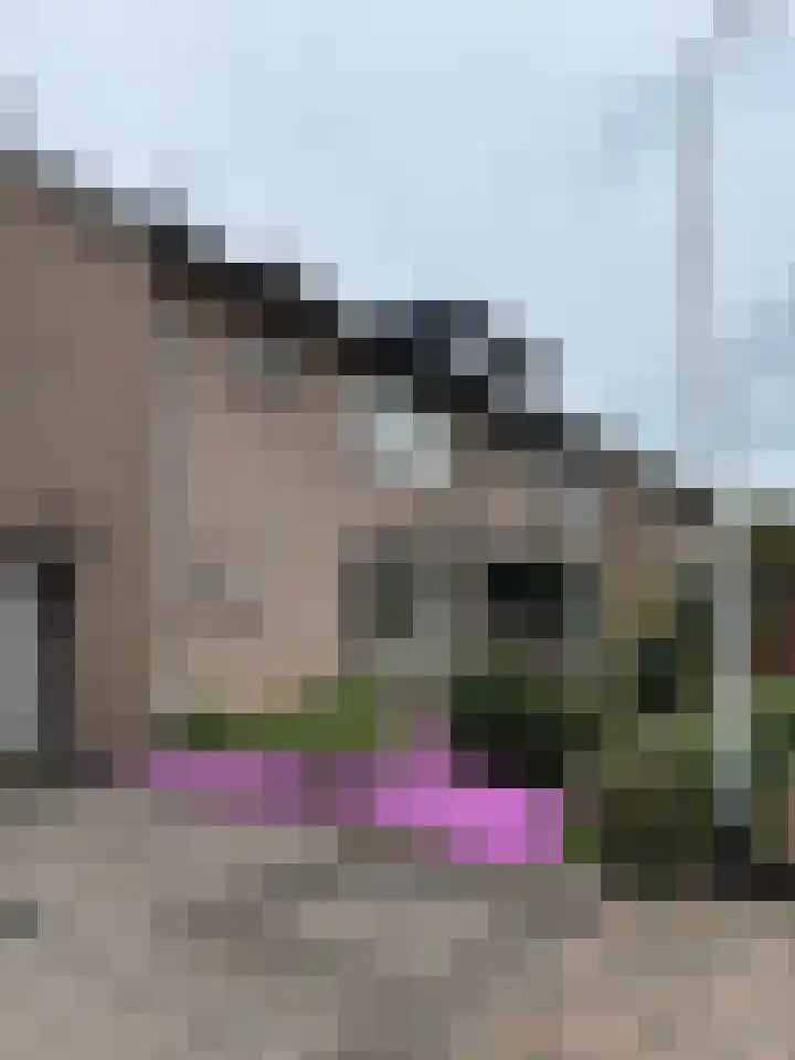 Dr. Schaepmanstraat 9 Berkel-Enschot thumbnail 45