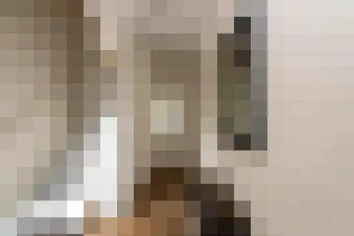 Dr. Schaepmanstraat 9 Berkel-Enschot thumbnail 8