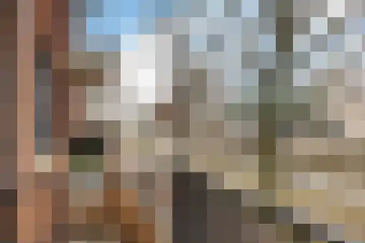 Dr. Schaepmanstraat 97 Assen thumbnail 19