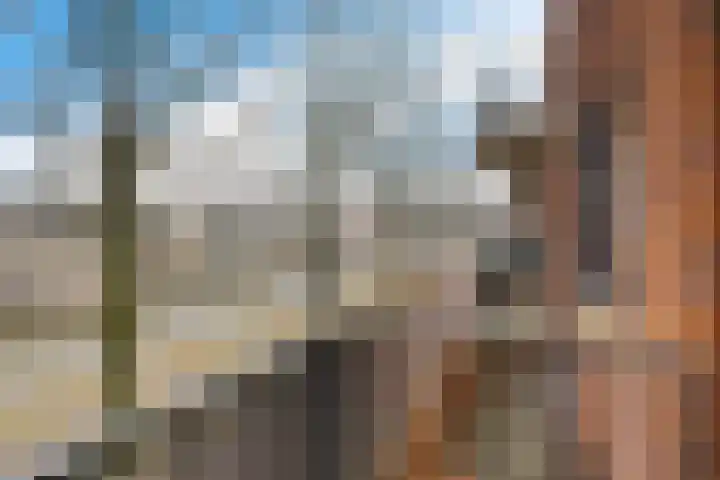 Dr. Schaepmanstraat 97 Assen thumbnail 20