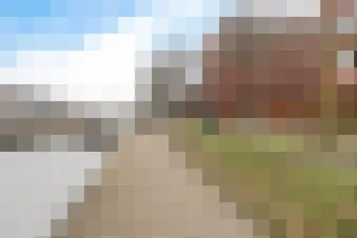 Dr. Schaepmanstraat 97 Assen thumbnail 33