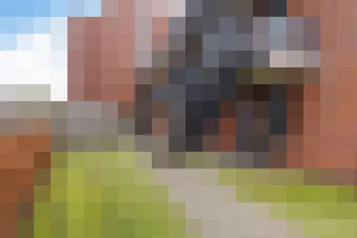Dr. Schaepmanstraat 97 Assen thumbnail 36