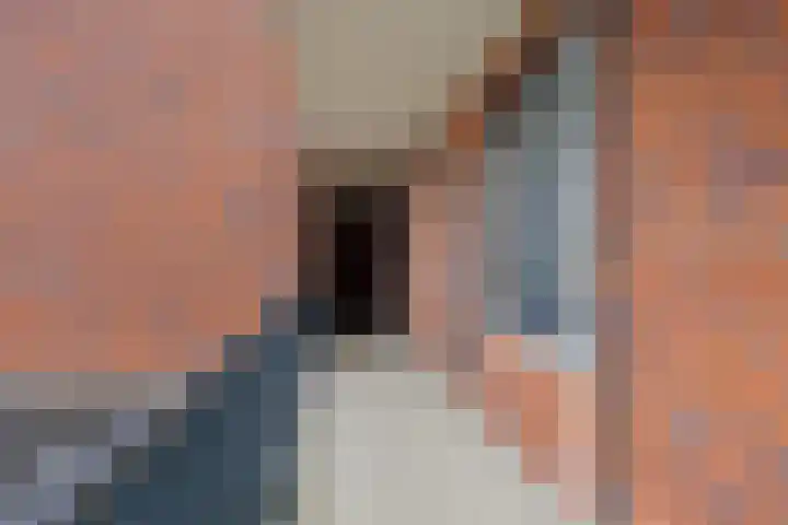 Dr. Schaepmanstraat 97 Assen thumbnail 6