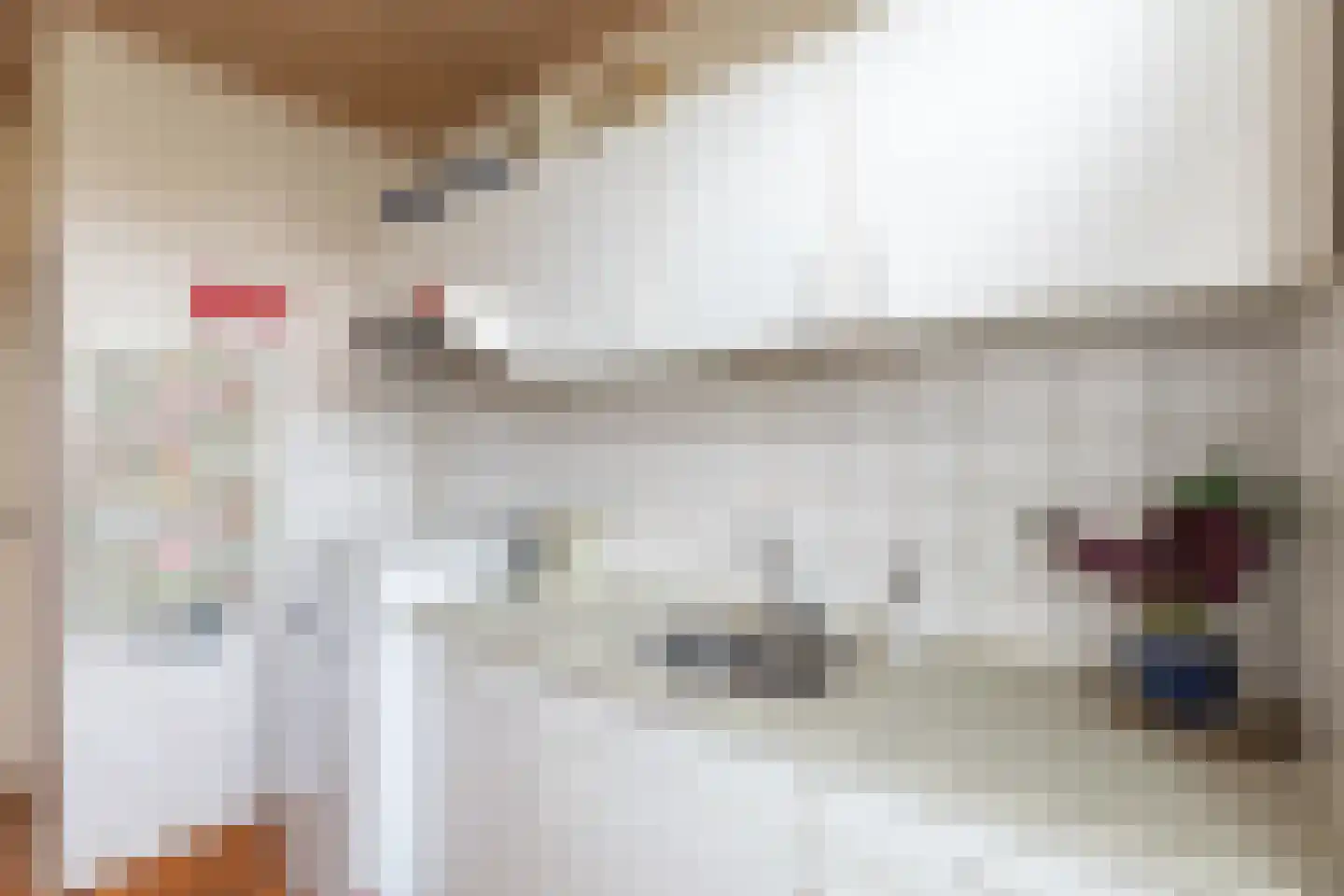 Dr.Scheylaan 14 Alkmaar thumbnail 10