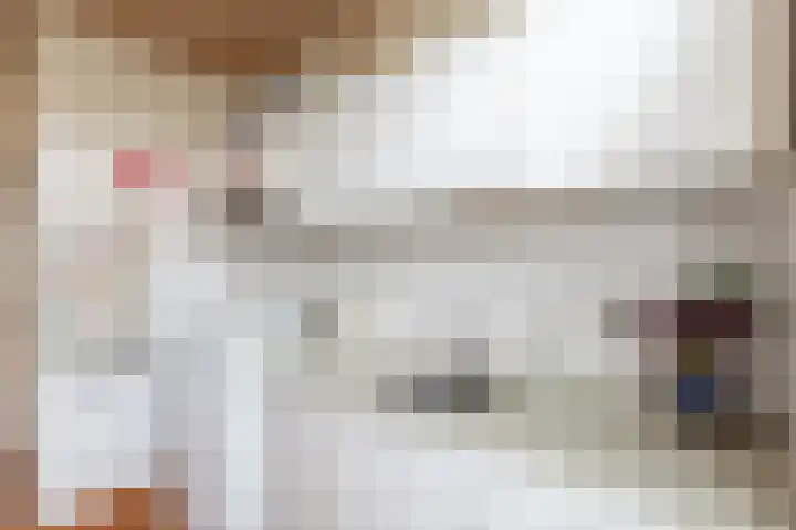 Dr.Scheylaan 14 Alkmaar thumbnail 10