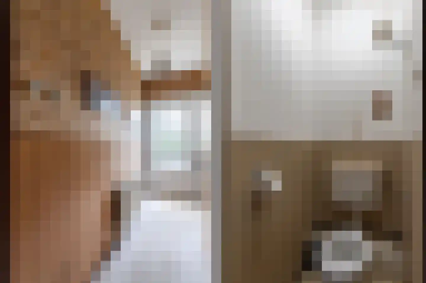 Dr.Scheylaan 14 Alkmaar thumbnail 12