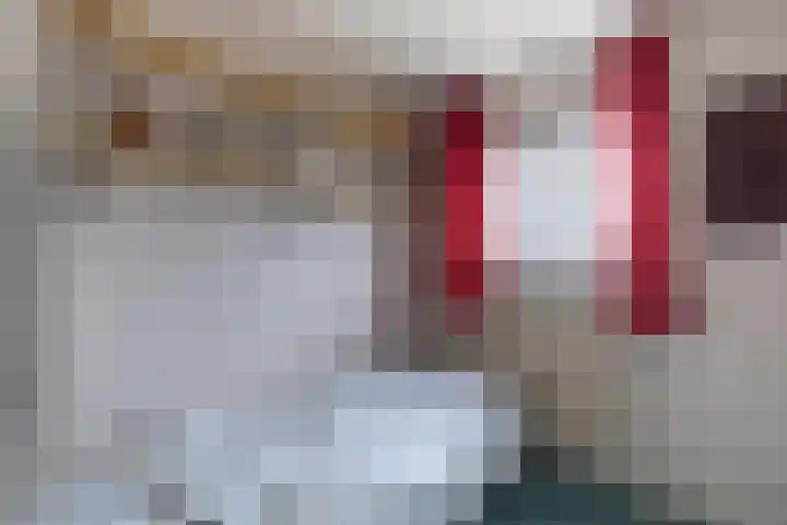 Dr.Scheylaan 14 Alkmaar thumbnail 13