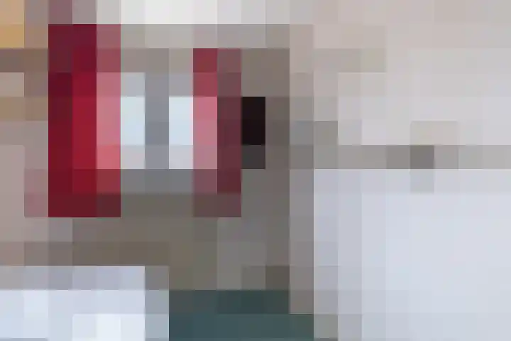 Dr.Scheylaan 14 Alkmaar thumbnail 14