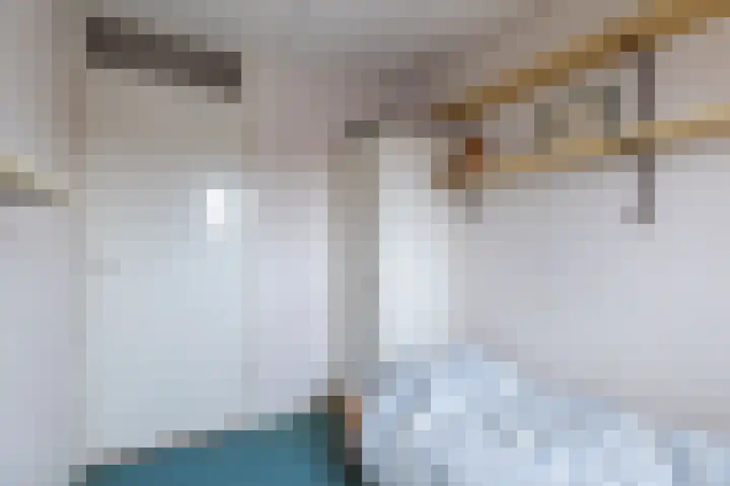 Dr.Scheylaan 14 Alkmaar thumbnail 15