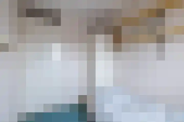 Dr.Scheylaan 14 Alkmaar thumbnail 15