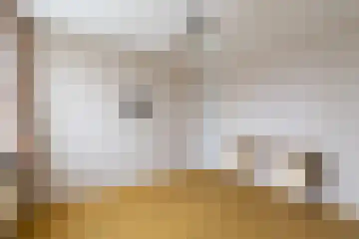 Dr.Scheylaan 14 Alkmaar thumbnail 19