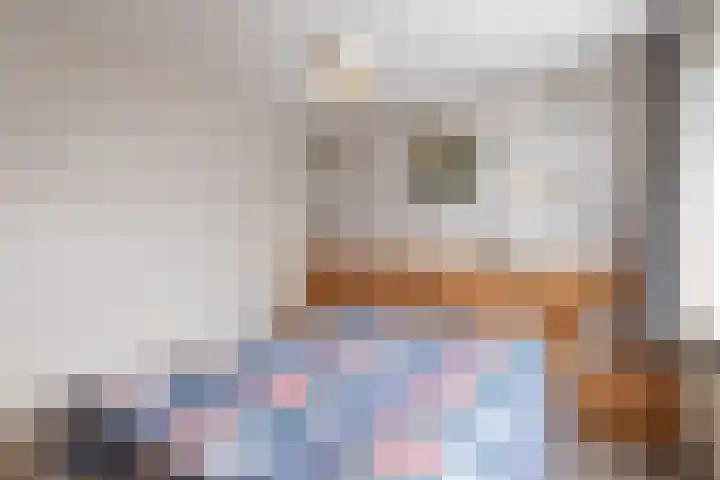 Dr.Scheylaan 14 Alkmaar thumbnail 23