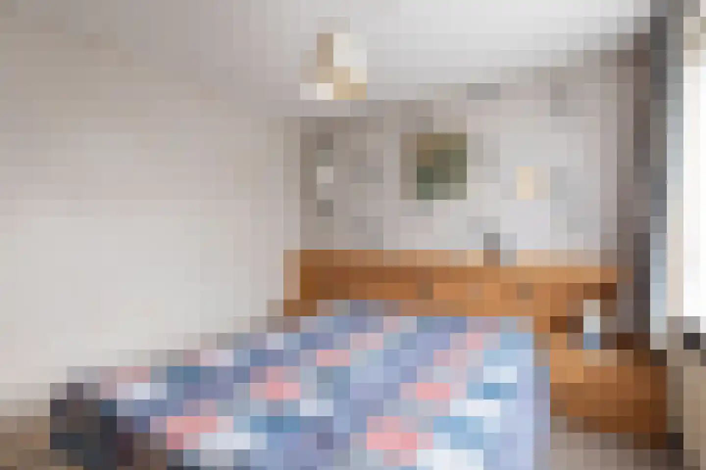 Dr.Scheylaan 14 Alkmaar thumbnail 23