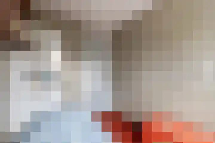 Dr.Scheylaan 14 Alkmaar thumbnail 26