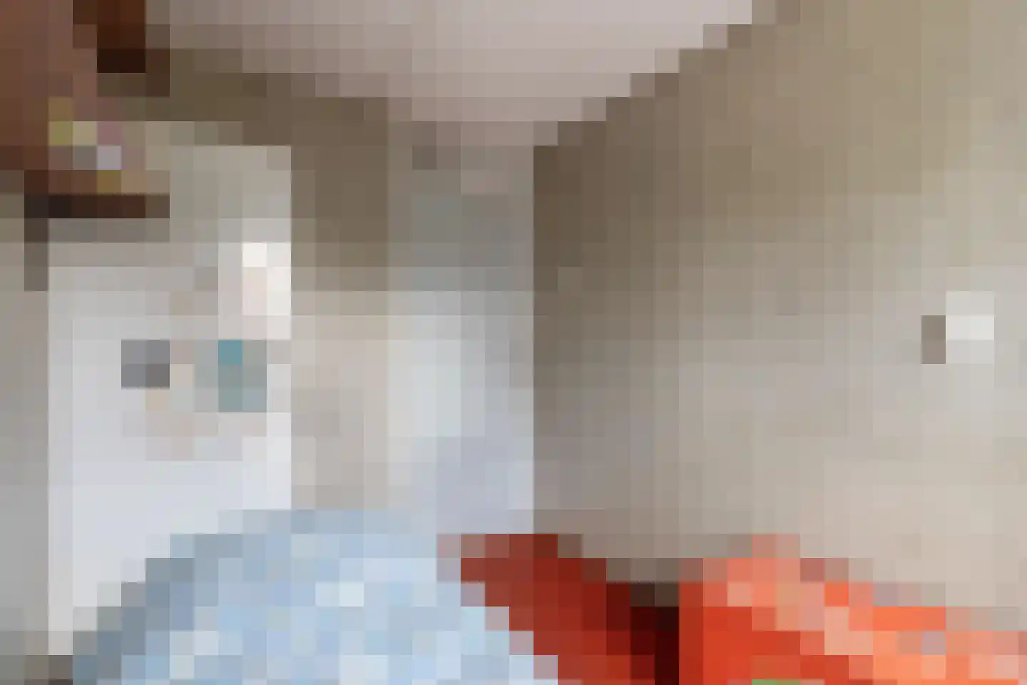 Dr.Scheylaan 14 Alkmaar thumbnail 26