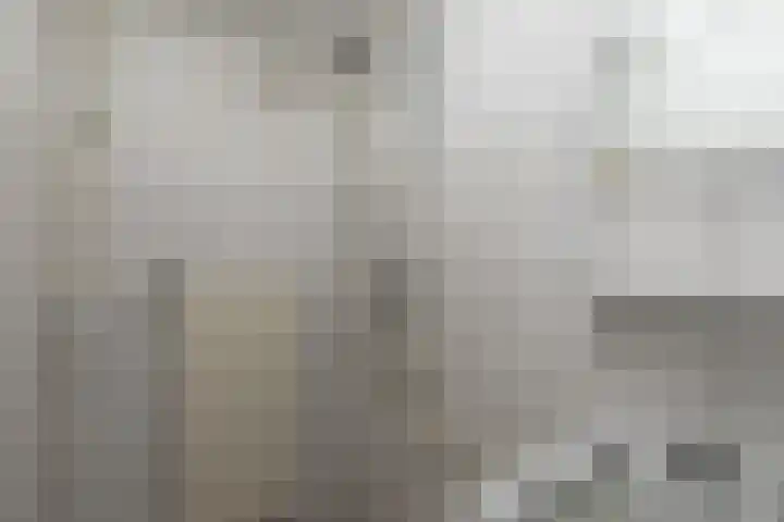 Dr.Scheylaan 14 Alkmaar thumbnail 27