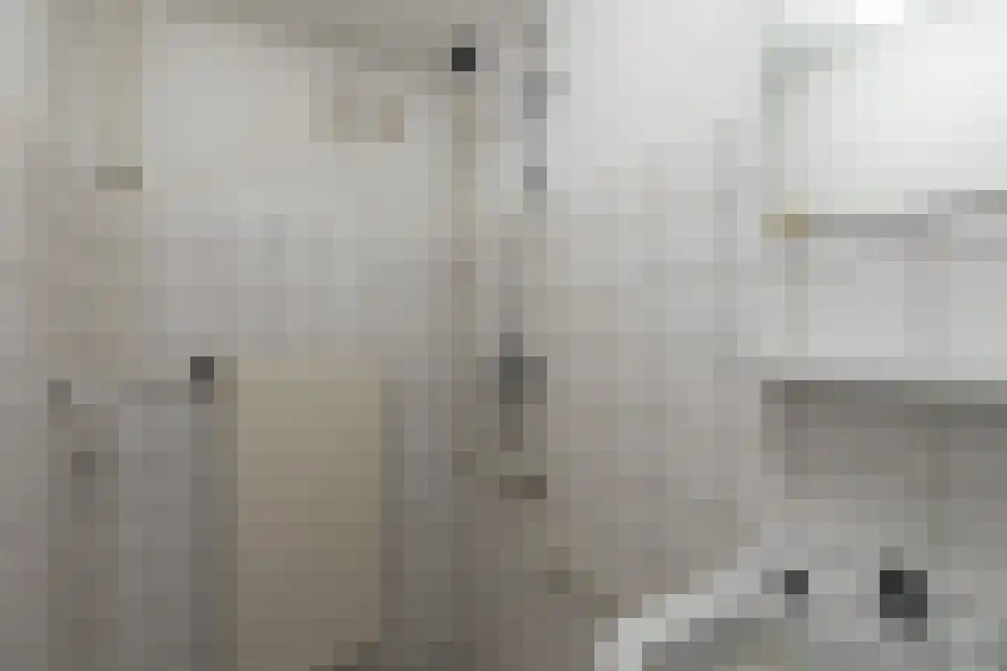Dr.Scheylaan 14 Alkmaar thumbnail 27