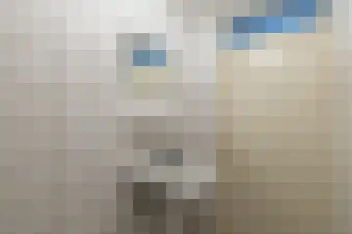 Dr.Scheylaan 14 Alkmaar thumbnail 28