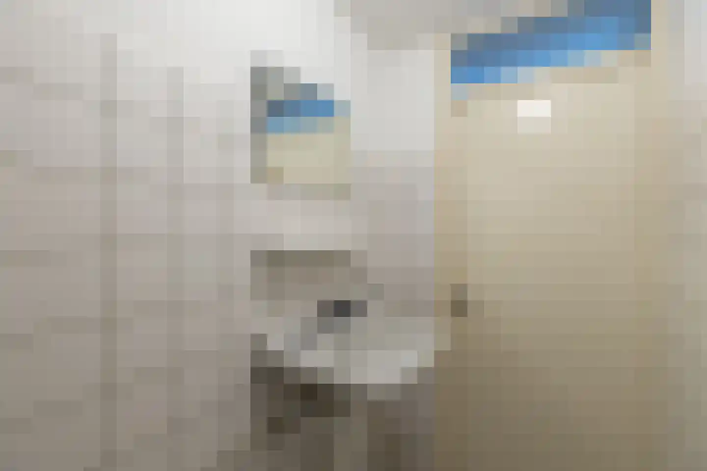 Dr.Scheylaan 14 Alkmaar thumbnail 28