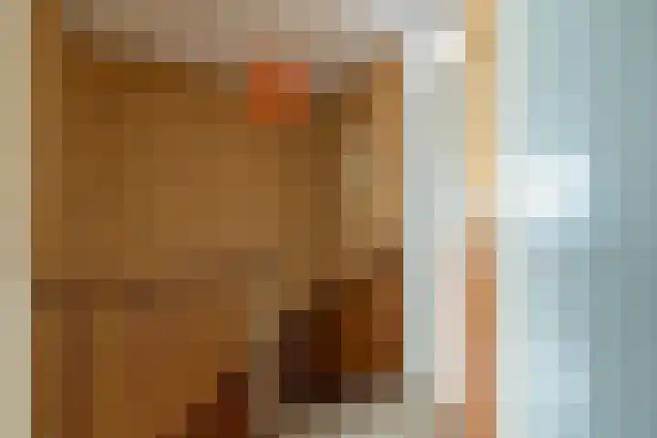 Dr.Scheylaan 14 Alkmaar thumbnail 29