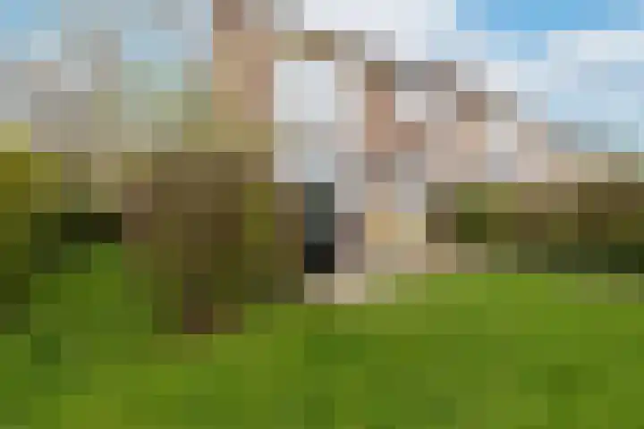 Dr.Scheylaan 14 Alkmaar thumbnail 32
