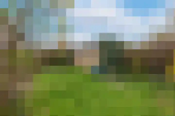 Dr.Scheylaan 14 Alkmaar thumbnail 33