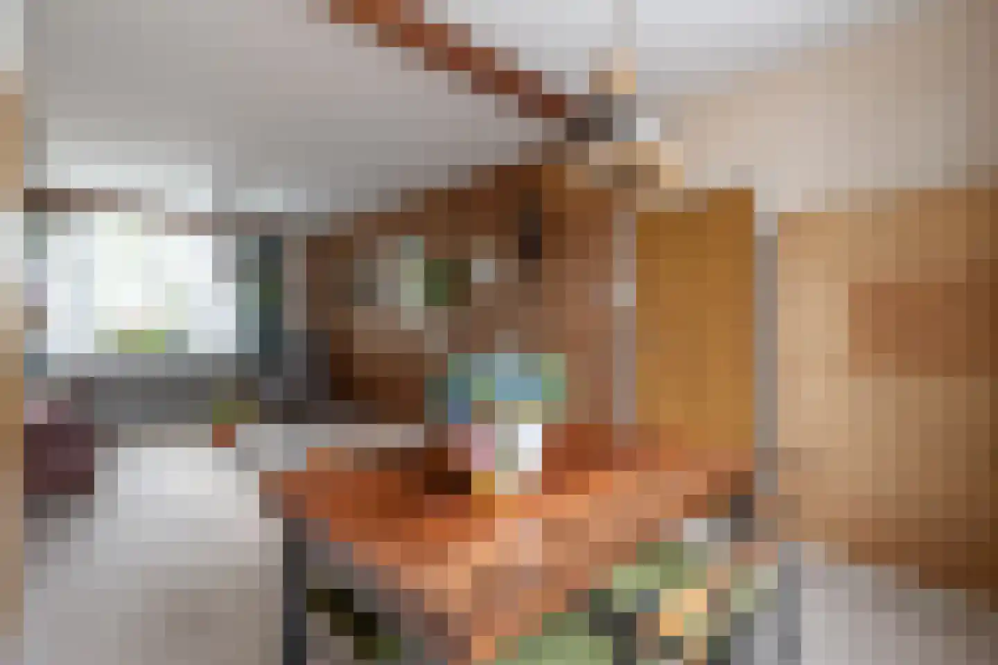 Dr.Scheylaan 14 Alkmaar thumbnail 4