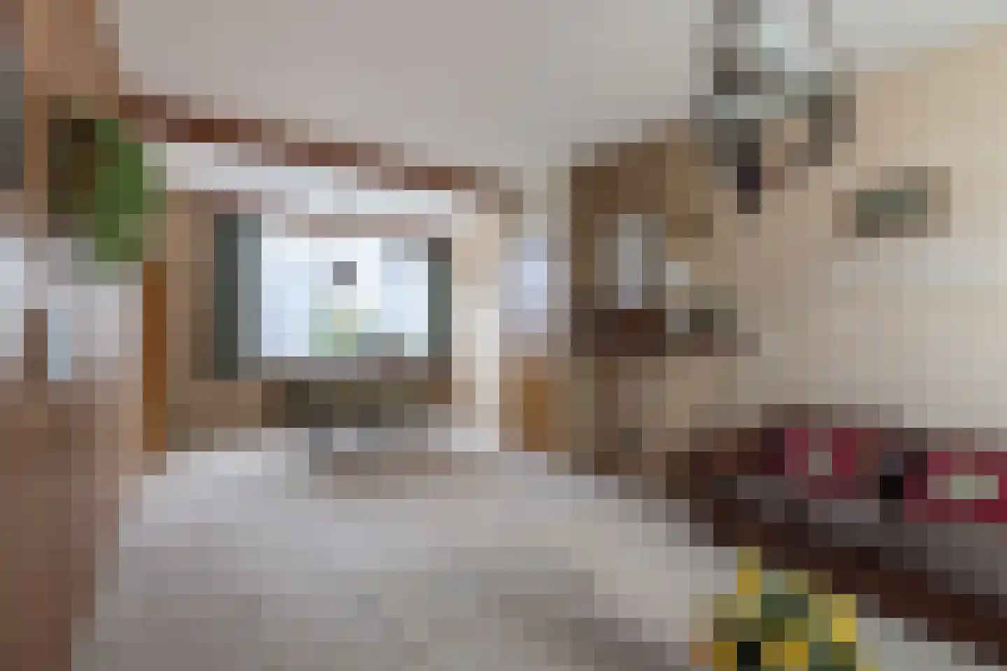 Dr.Scheylaan 14 Alkmaar thumbnail 6