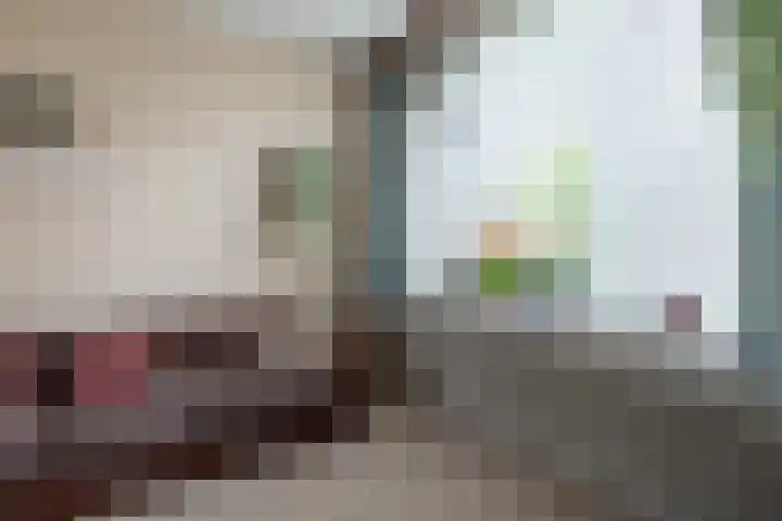 Dr.Scheylaan 14 Alkmaar thumbnail 7