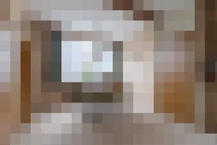 Dr.Scheylaan 14 Alkmaar thumbnail 8
