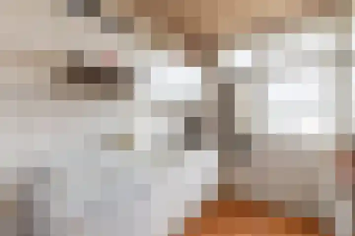 Dr.Scheylaan 14 Alkmaar thumbnail 9