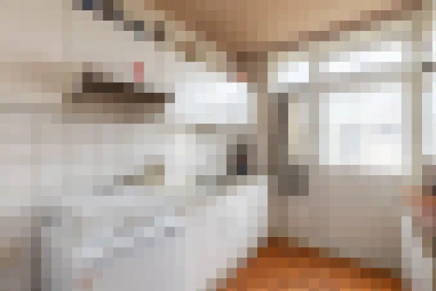 Dr.Scheylaan 14 Alkmaar thumbnail 9
