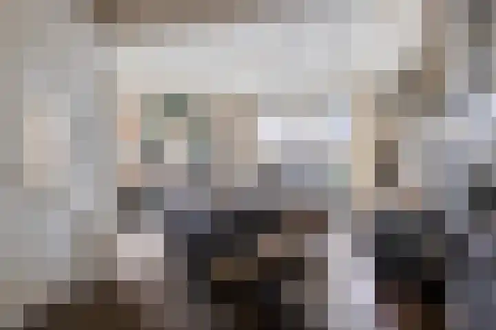 Dr. Schräderlaan 6 Oisterwijk thumbnail 4